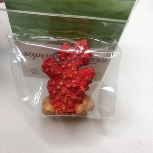 *5/$20* New Nicole’s Woodland Garden Coral